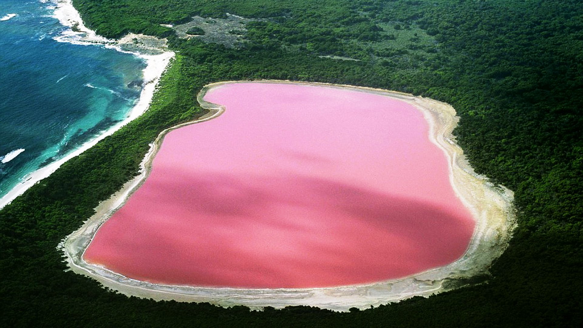 Pink-Lake-Australia-5th-most-beautiful-lake