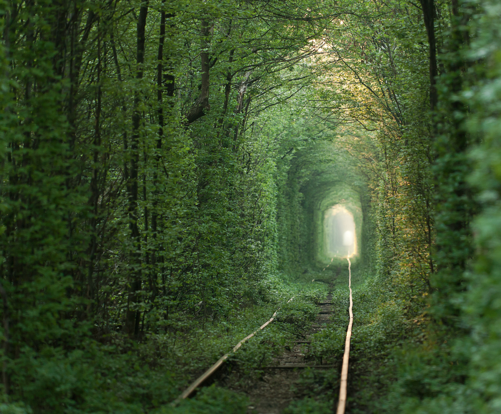 Tunnel of Love in Klevan, Ukraine